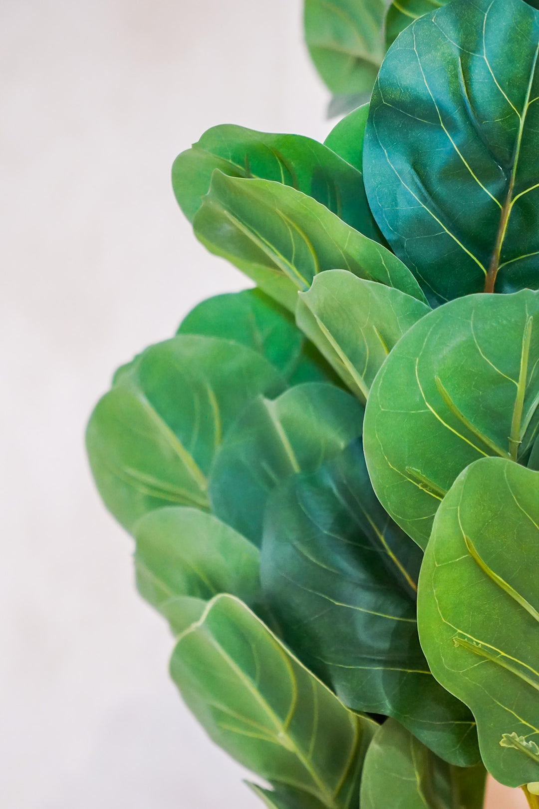 Premium Artificial Plant