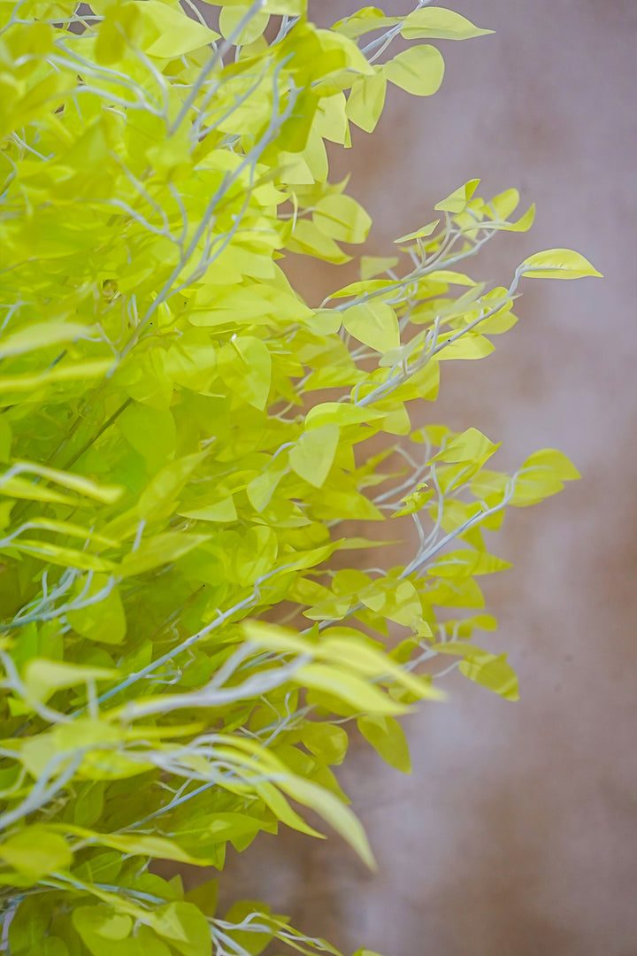 Premium Artificial Plant