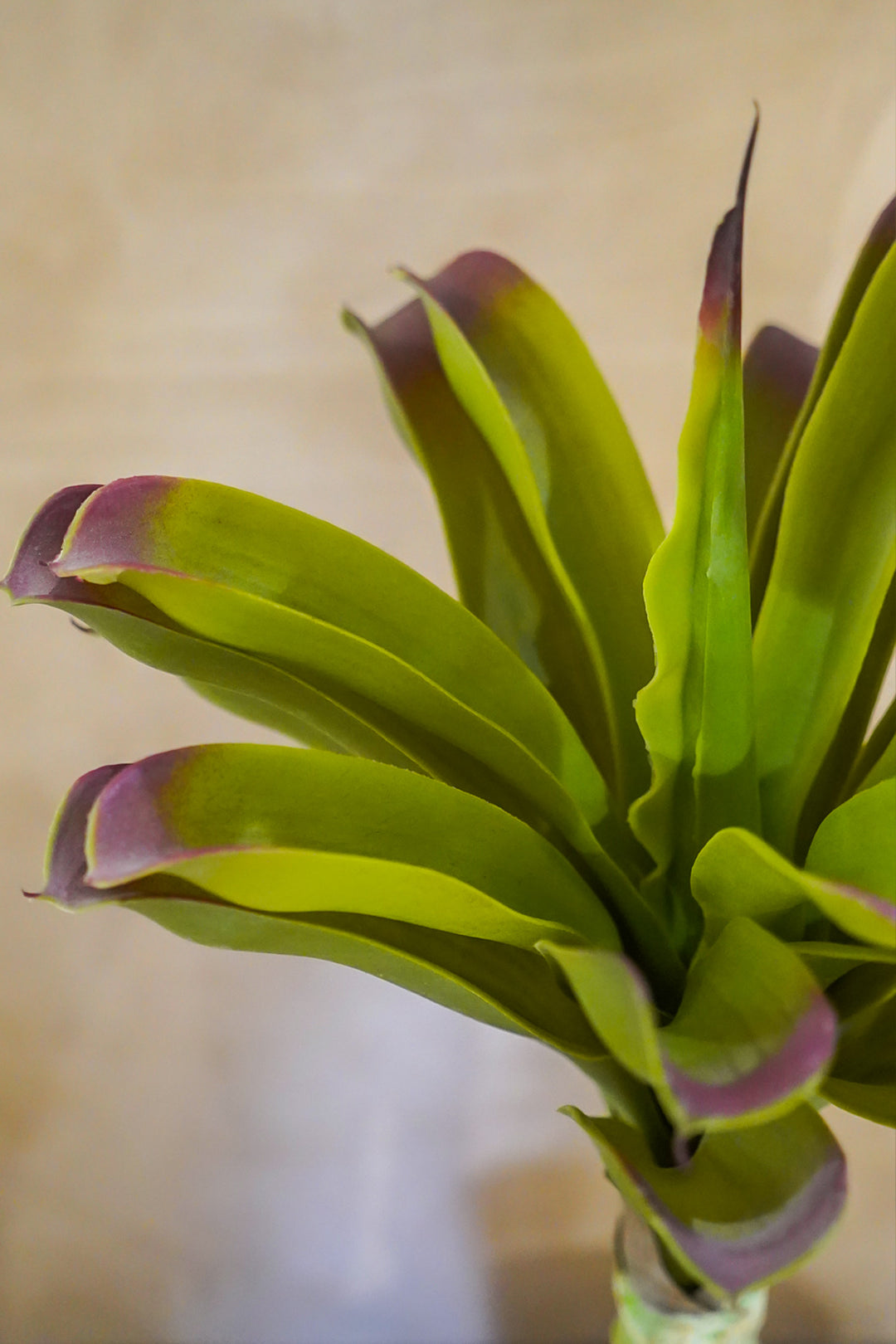 Premium Artificial Plant