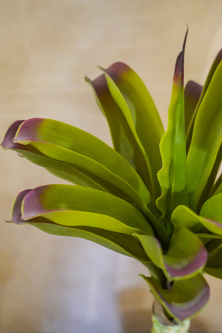Premium Artificial Plant