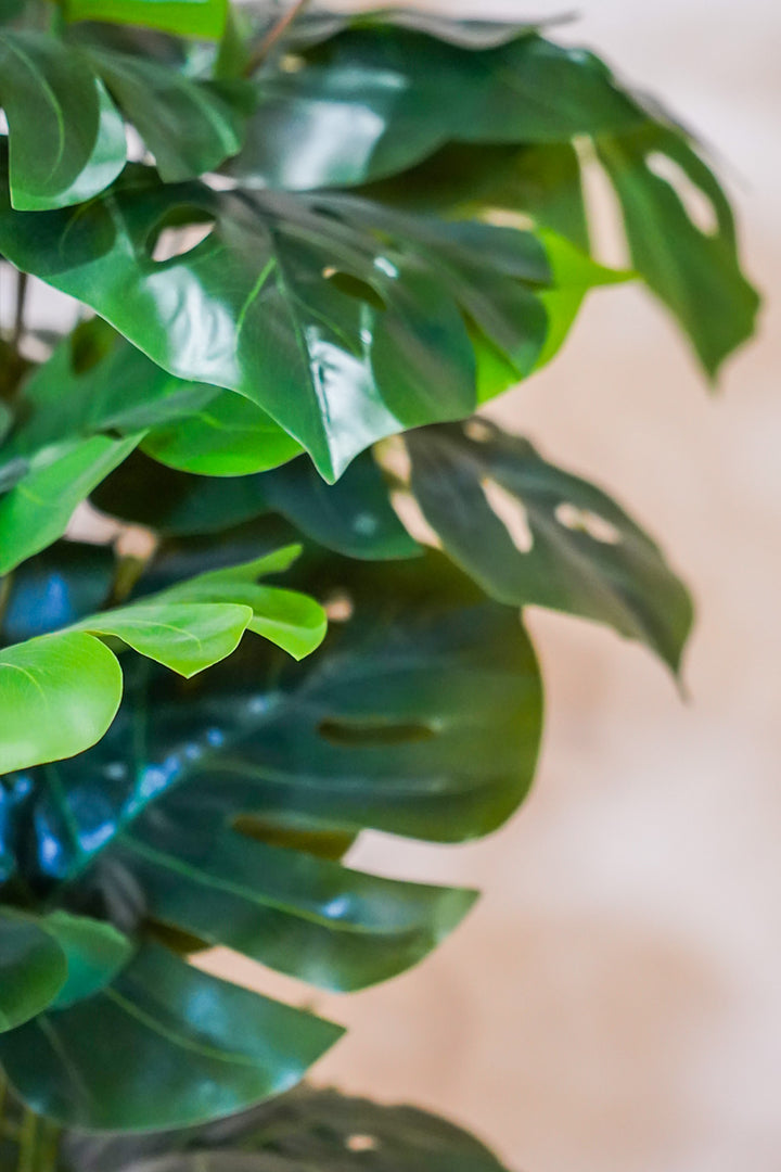 Premium Artificial Plant