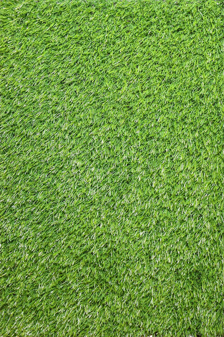 20 MM Grass New Wonder Artificial Grass