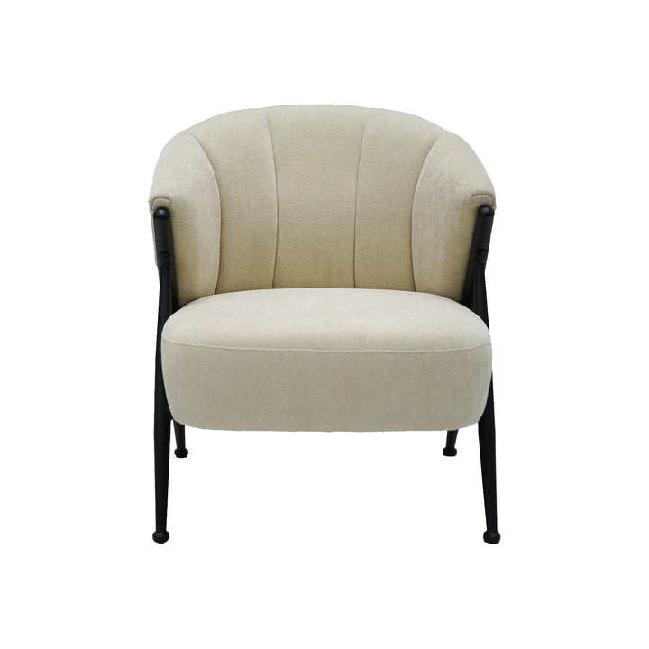 Modern Cozy Accent Chair