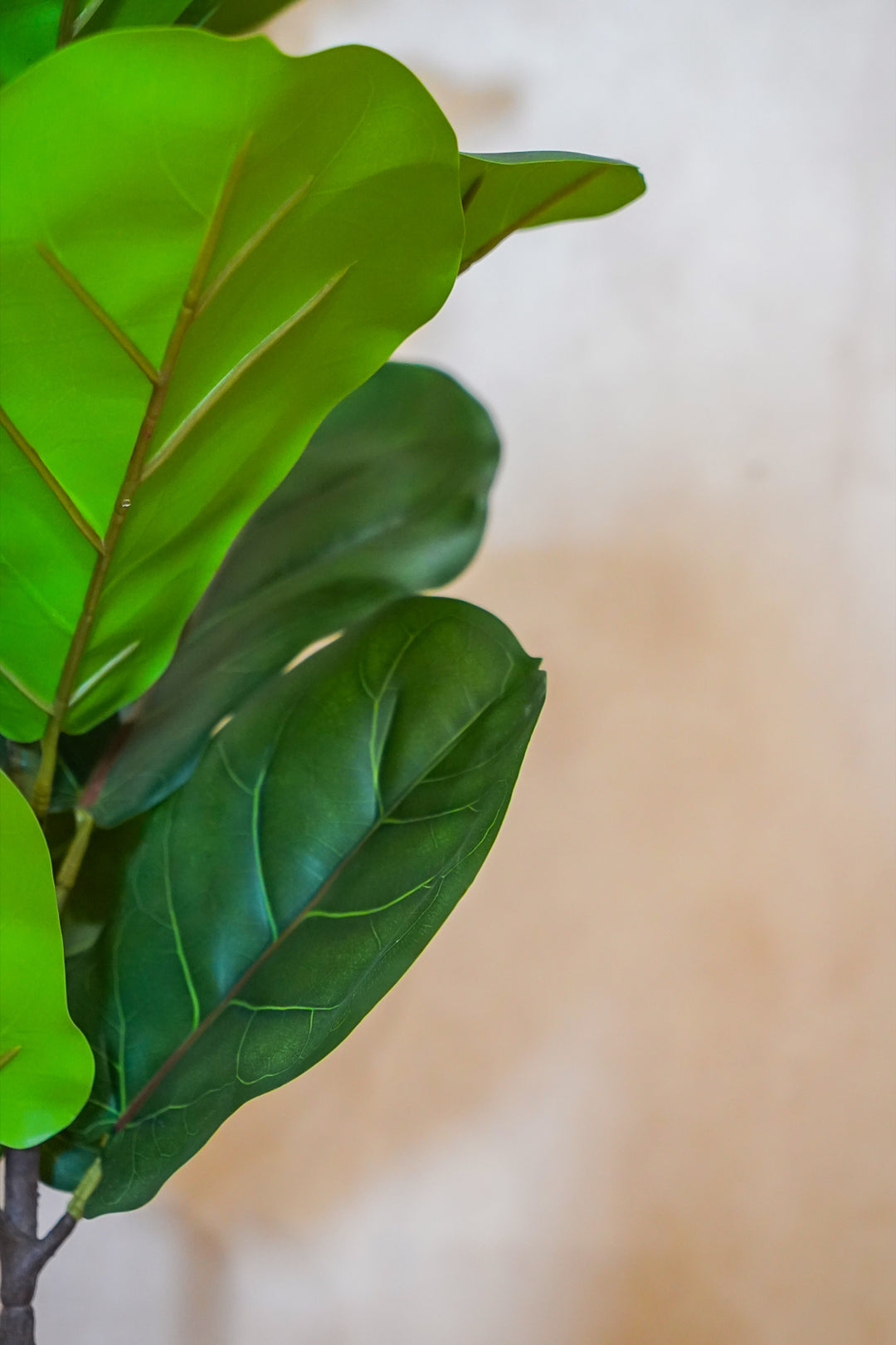 Premium Artificial Plant