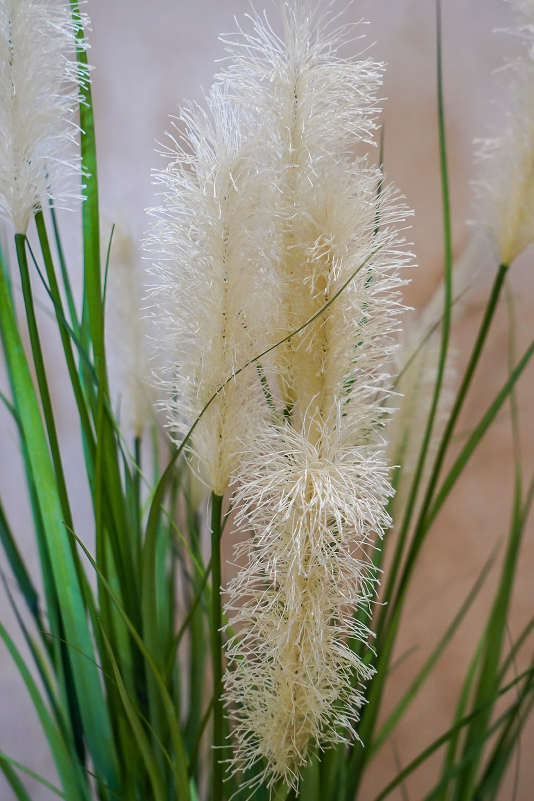 Premium Artificial Plant