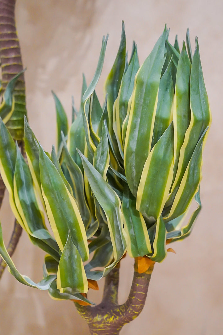 Premium Artificial Plant