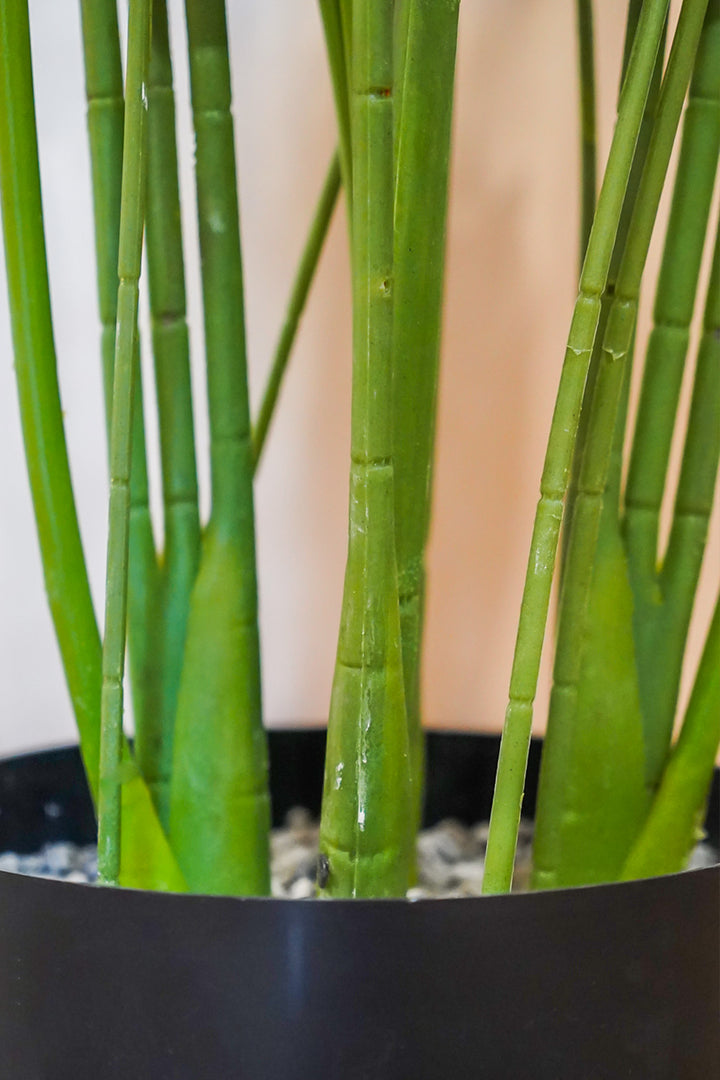 Premium Artificial Plant