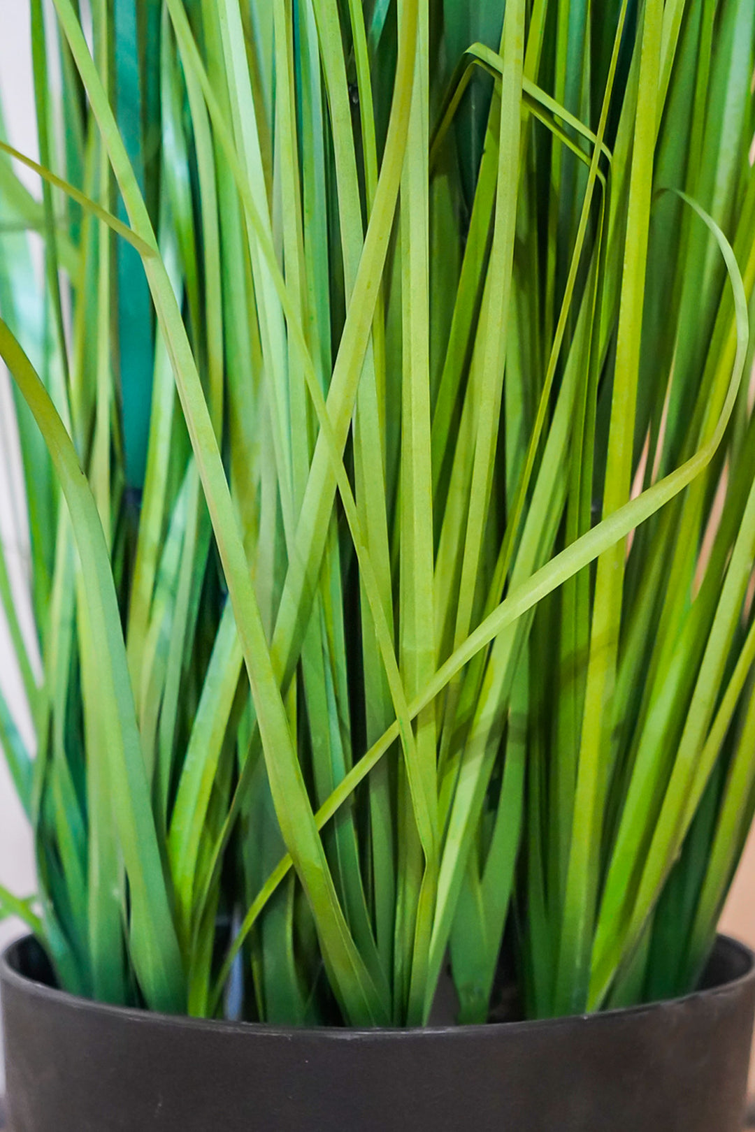 Premium Artificial Plant