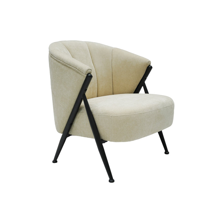 Modern Cozy Accent Chair