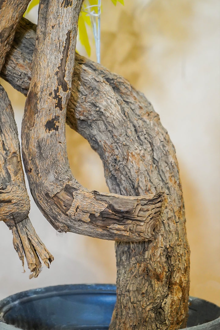 Premium Artificial Plant