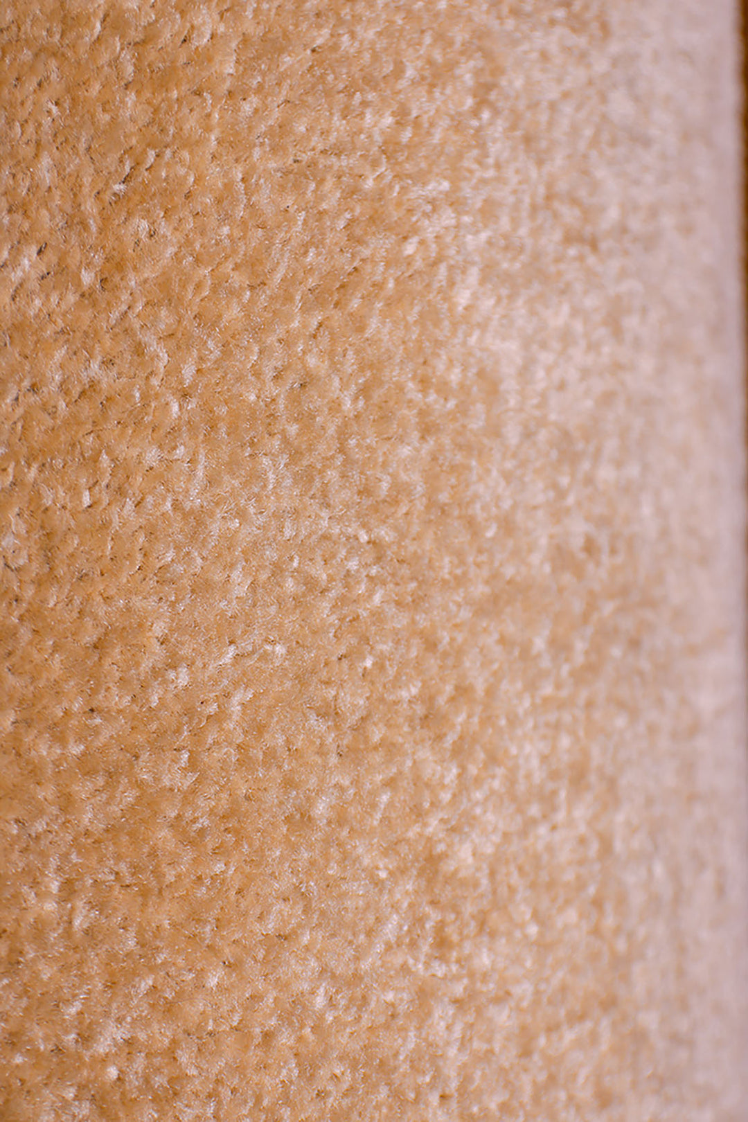 Regal 66 - 12 Foot Wide  Wall-to-Wall Carpet