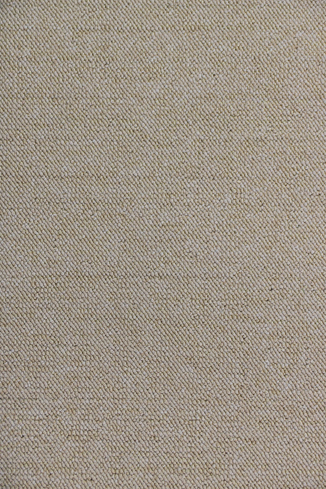 Berber Rug 9000 W12 (AB) 9016 LBEIGE - 4 x 6 FT - Soft, Durable, and Easy to Clean