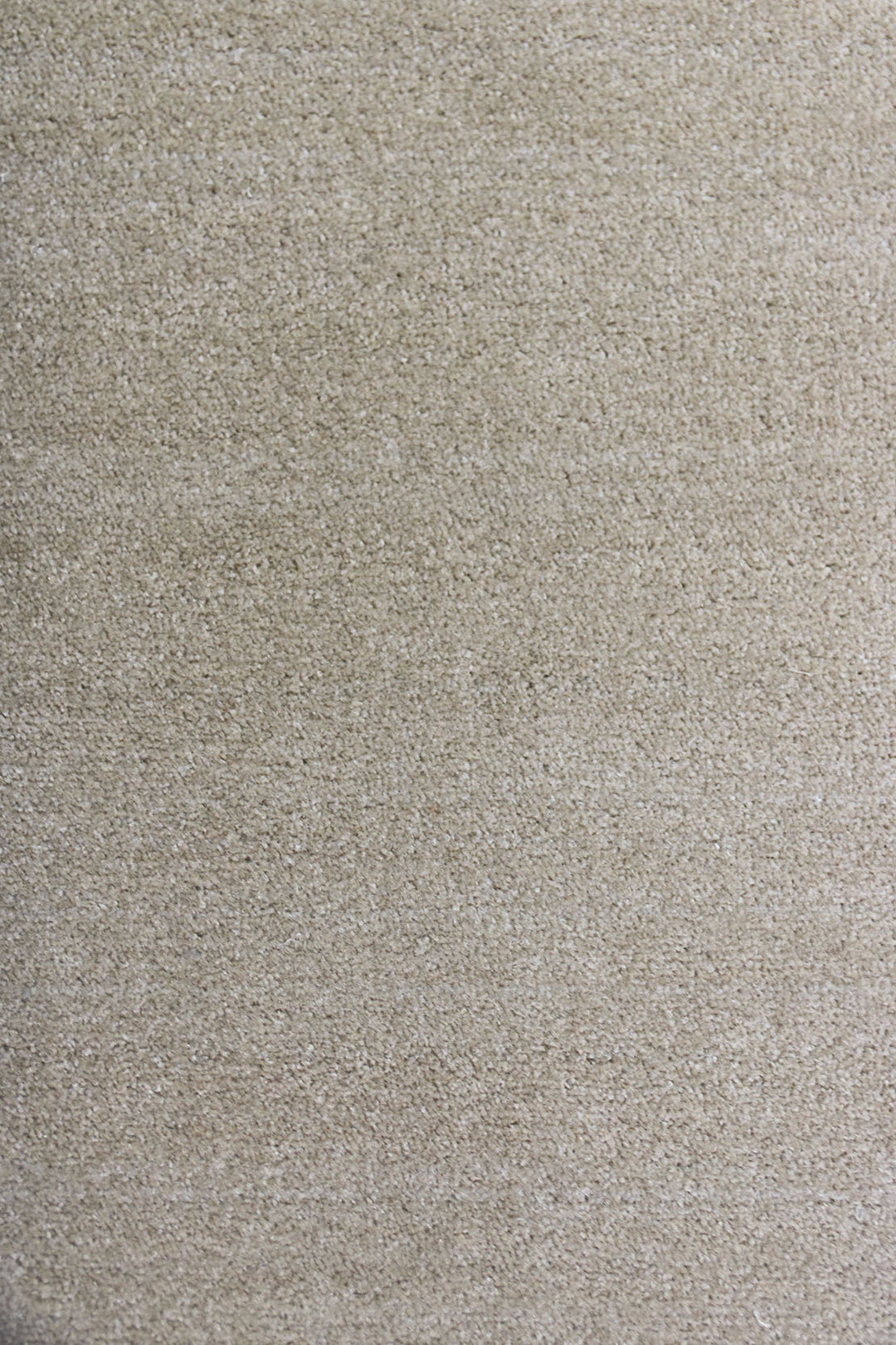 Fragnance Rug - 4 x 6 FT - Soft, Durable, and Easy to Clean
