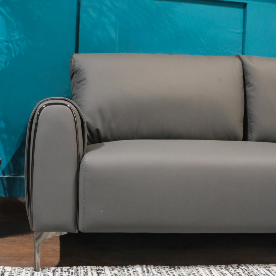 Imported Lather Sofa