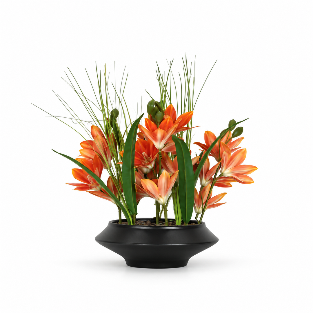Table Plant