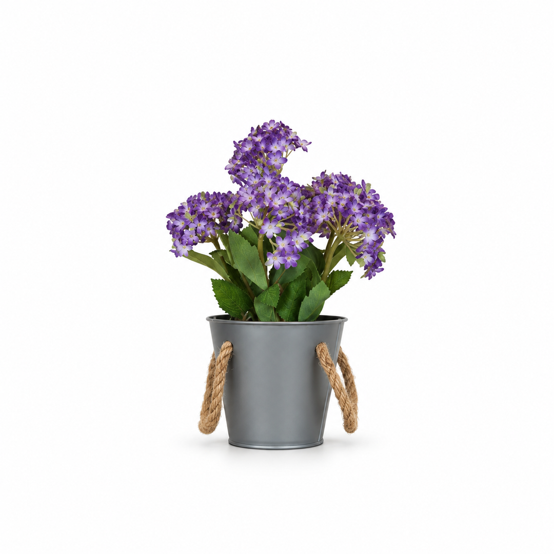 Table Plant