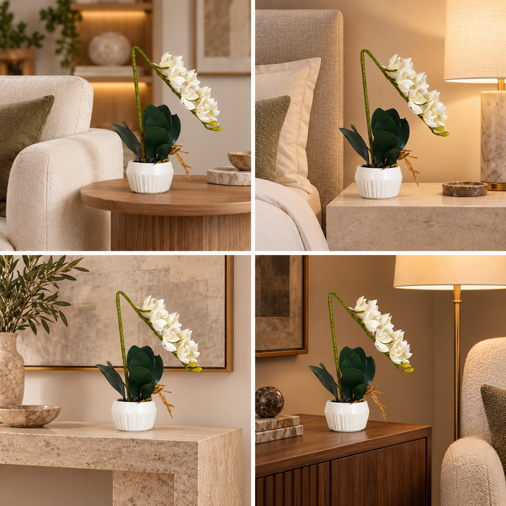 Table Plant