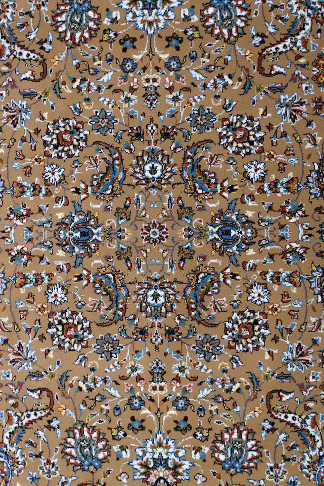 Irani Farsh E Firozeh-P Rug - 5.9 x 8.9 FT - Superior Comfort, Modern Style Accent Rugs