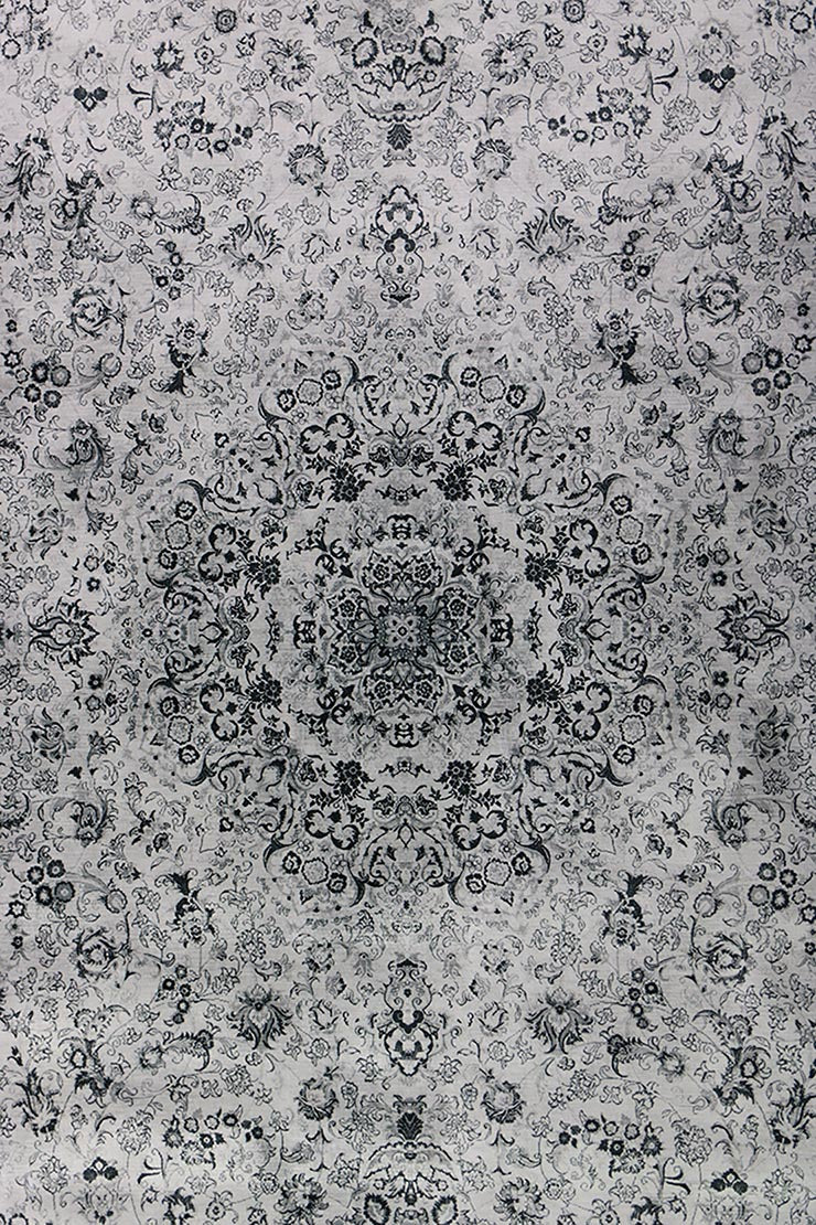 Traditional Printed Area Rug – 5 x 8.3 FT – Stylish, Durable & Anti-Slip