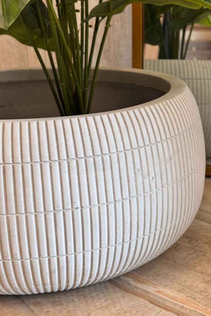 Plant - Flower Pot