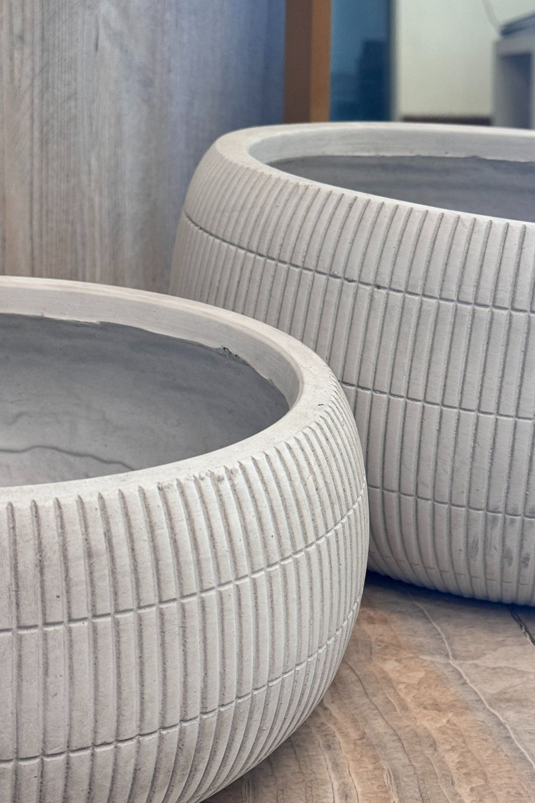 Plant - Flower Pot
