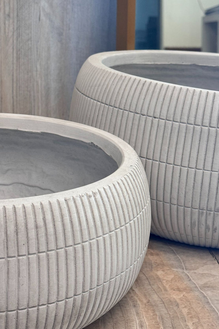 Plant - Flower Pot