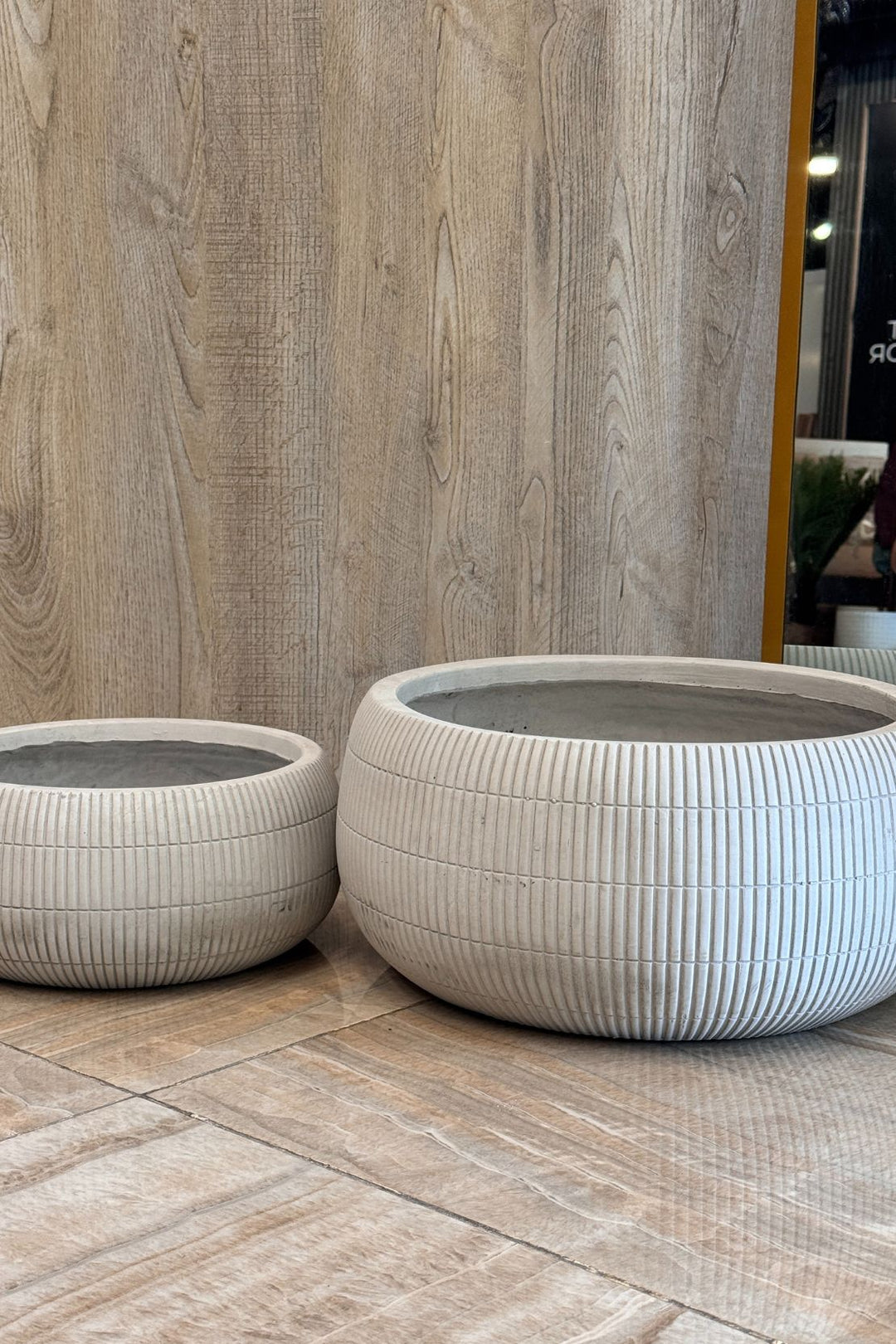 Plant - Flower Pot