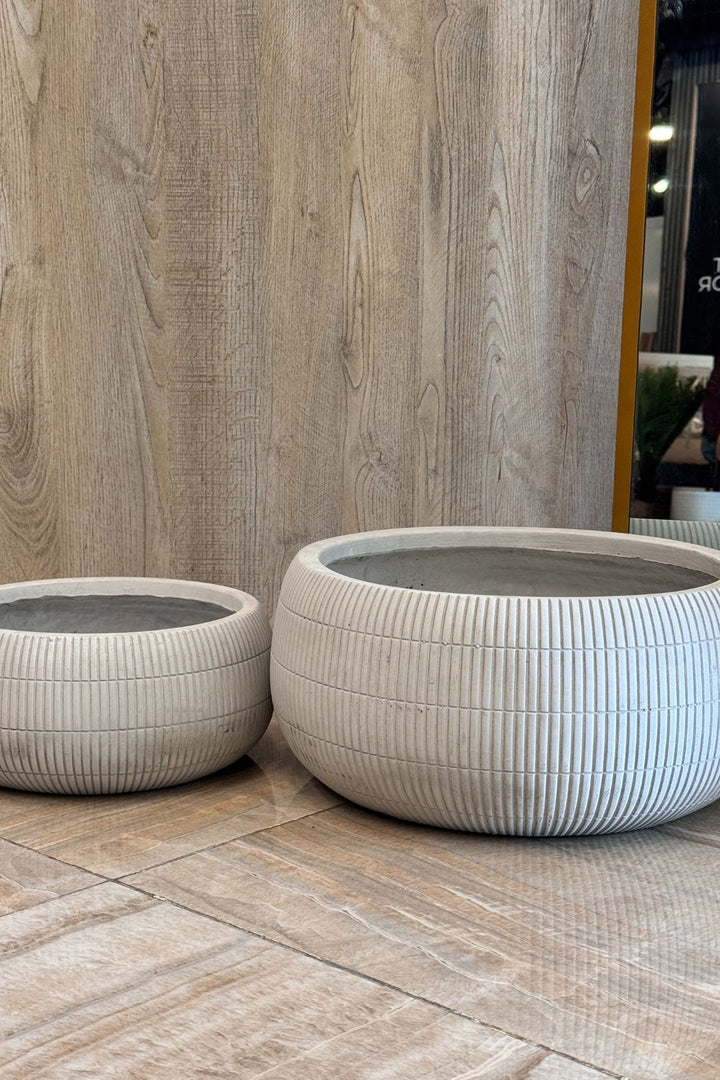 Plant - Flower Pot