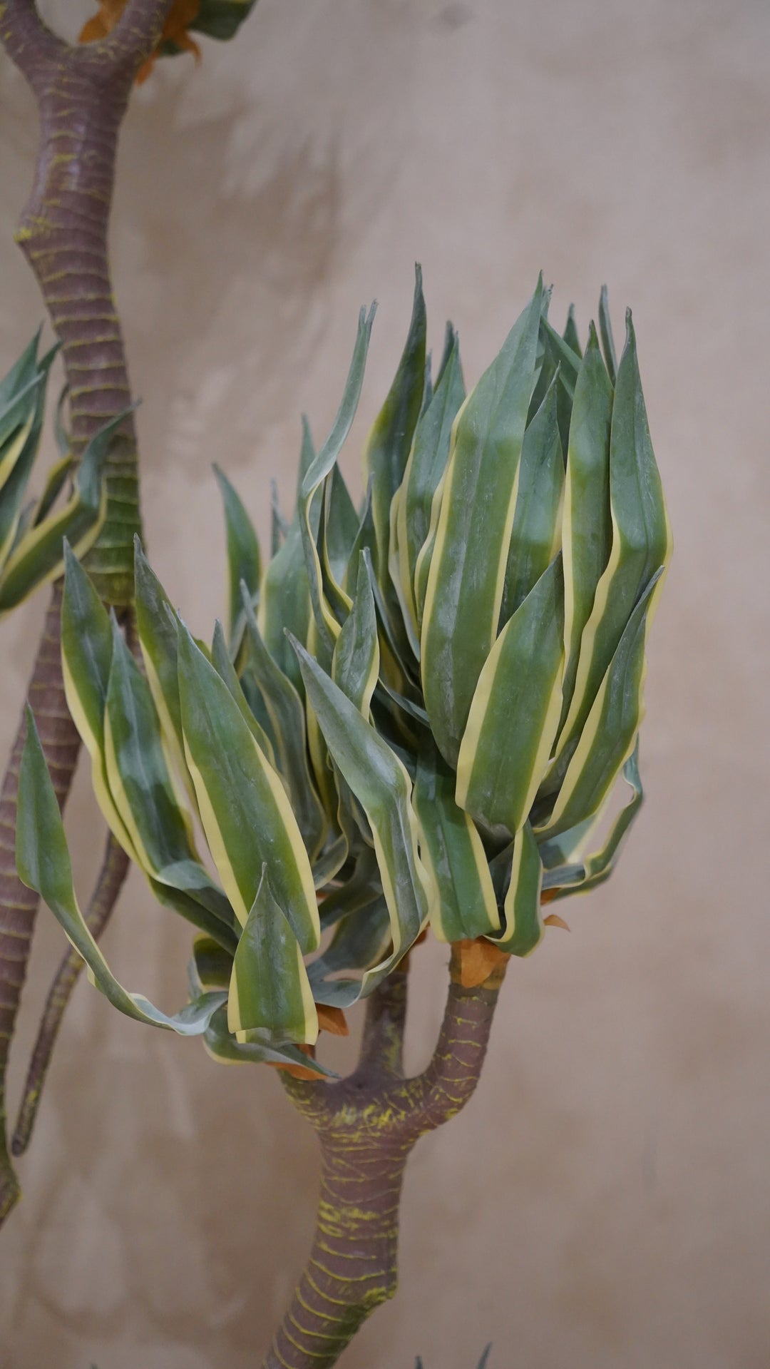 Premium Artificial Plant