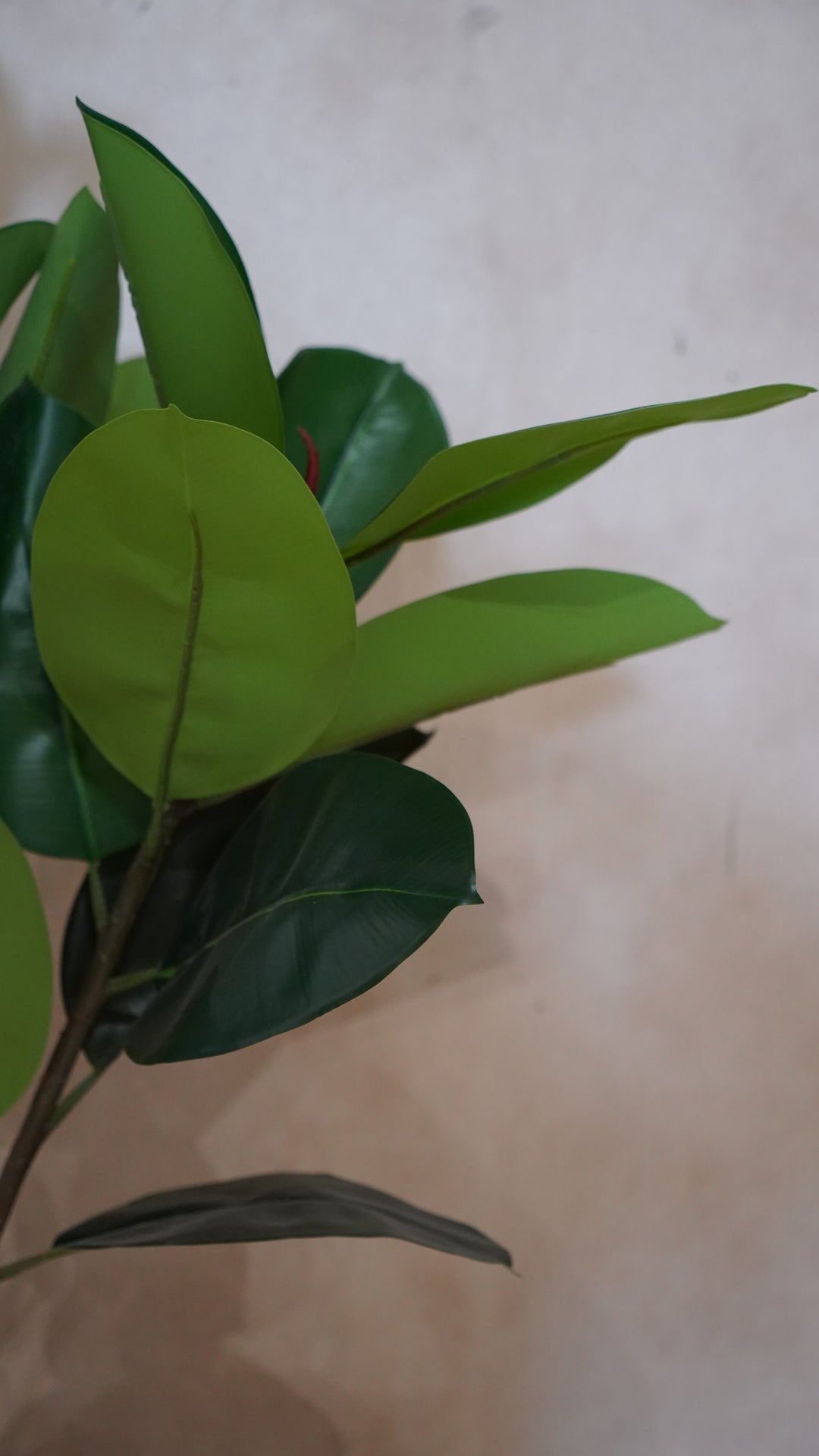 Premium Artificial Plant