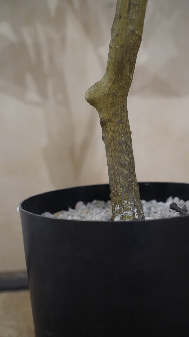 Premium Artificial Plant