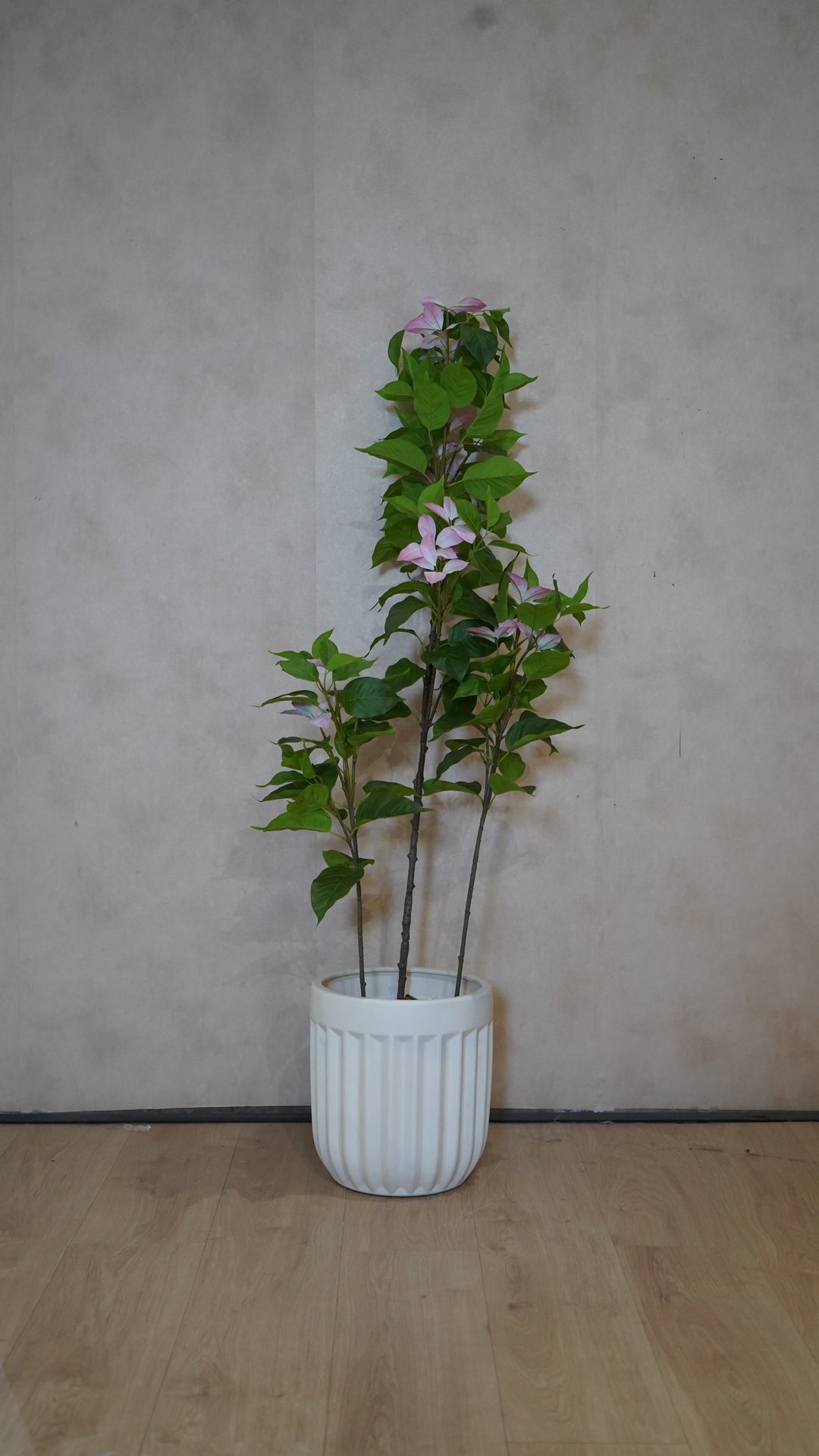 Premium Artificial Plant