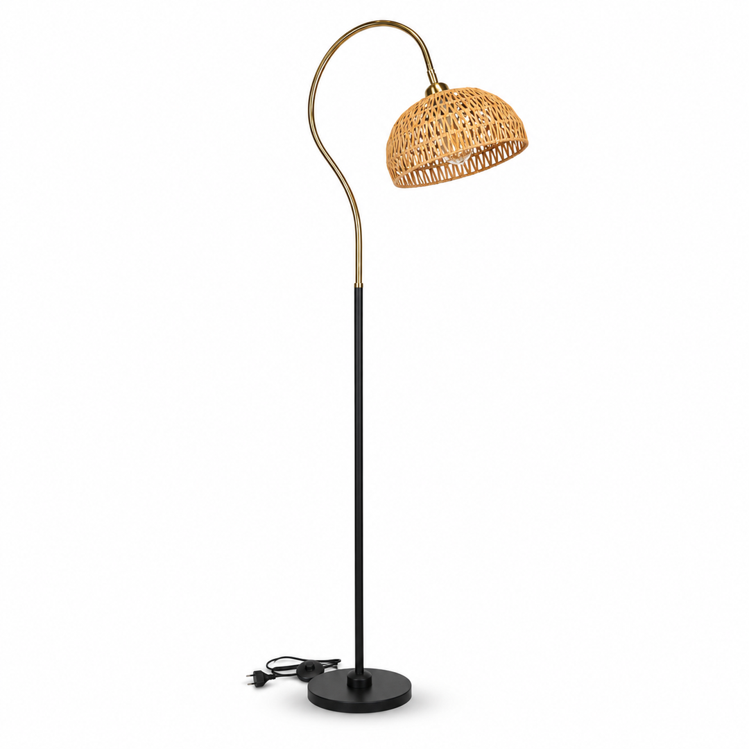 Imported Floor Lamp