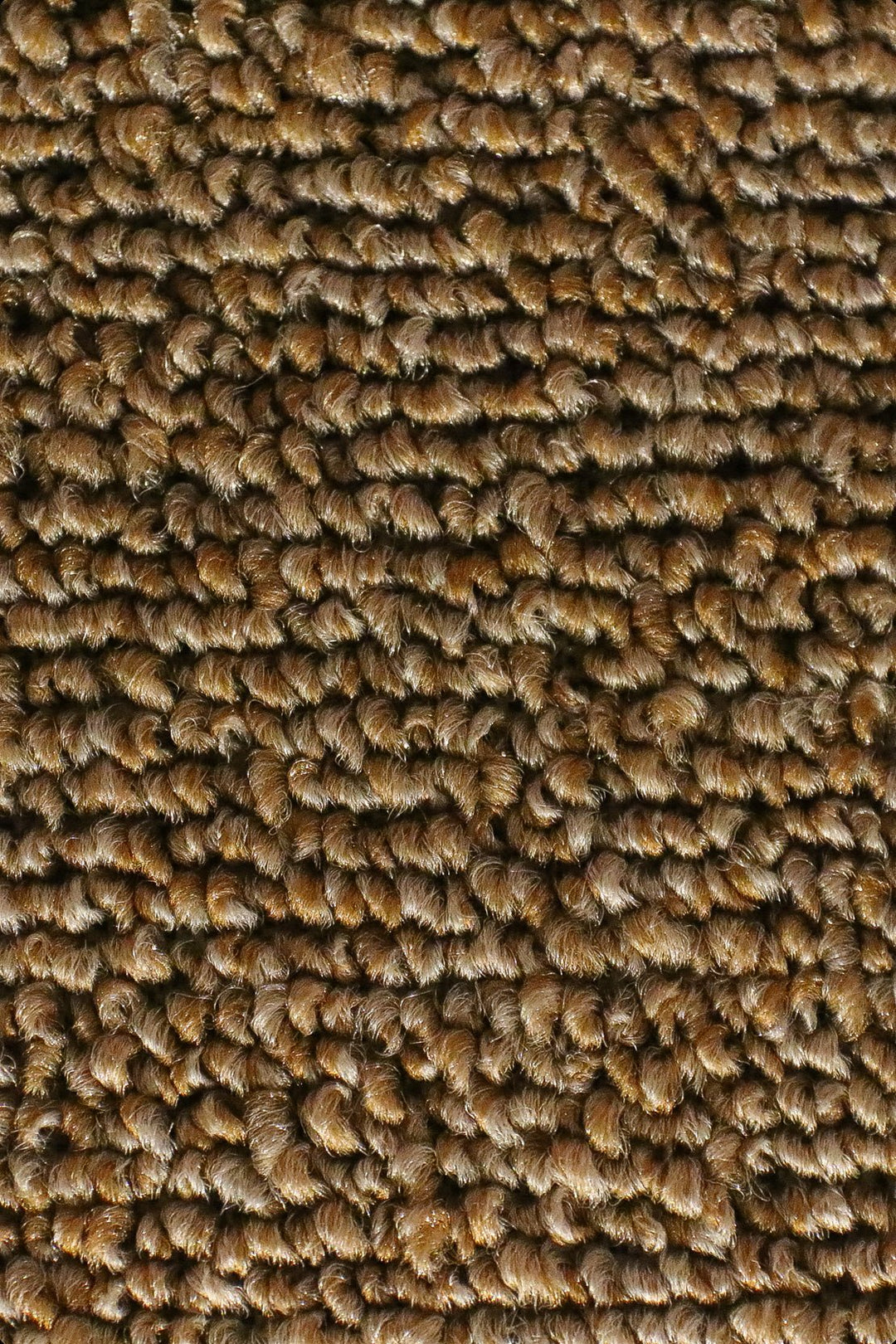 Express - 12-Foot Wide Wall-to-Wall Carpet - V Surfaces