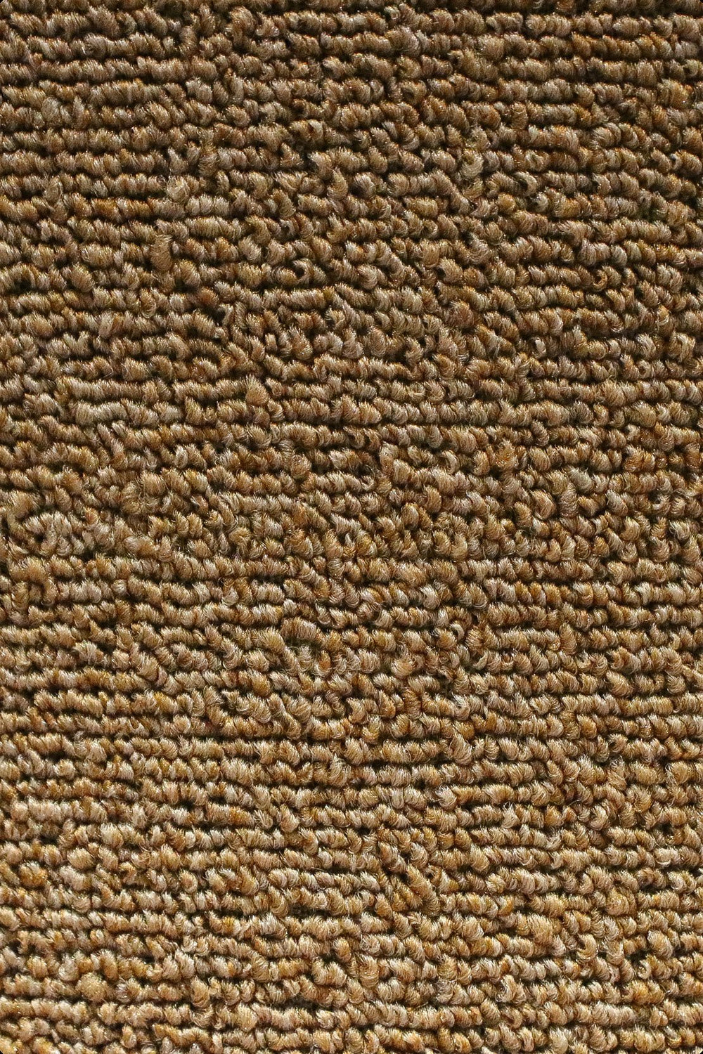 Express - 12-Foot Wide Wall-to-Wall Carpet - V Surfaces