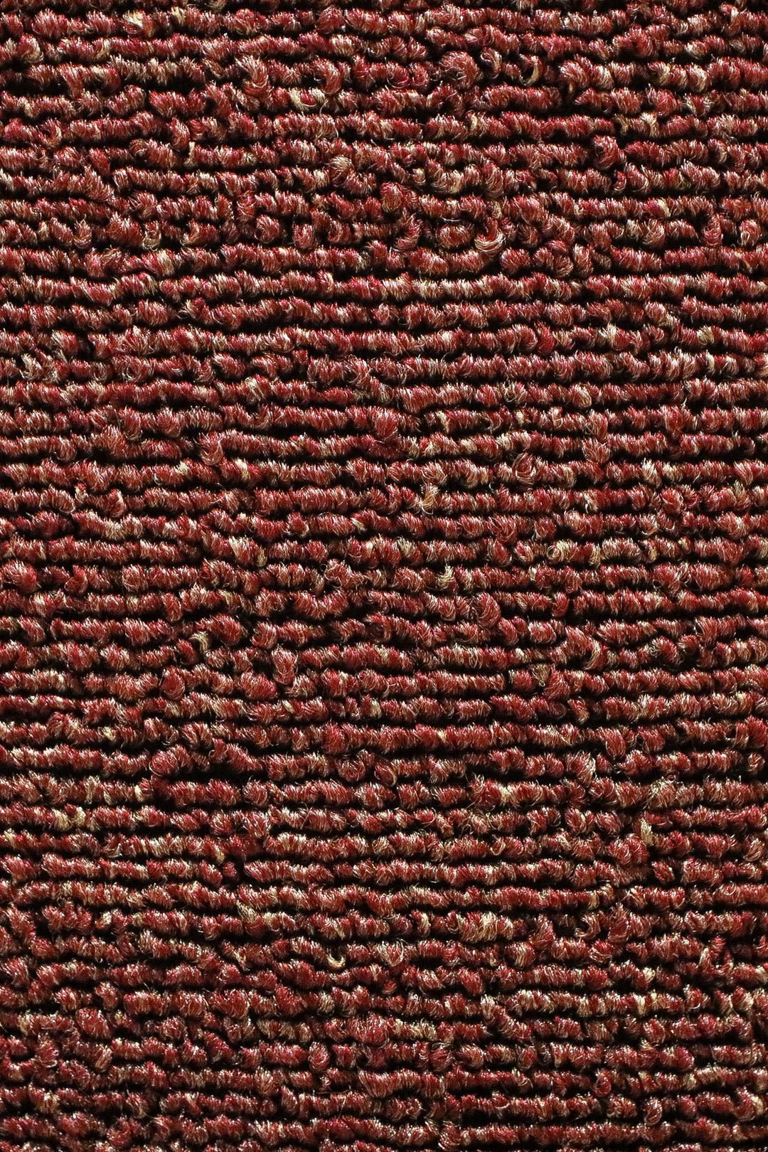 Express - 12-Foot Wide Wall-to-Wall Carpet - V Surfaces