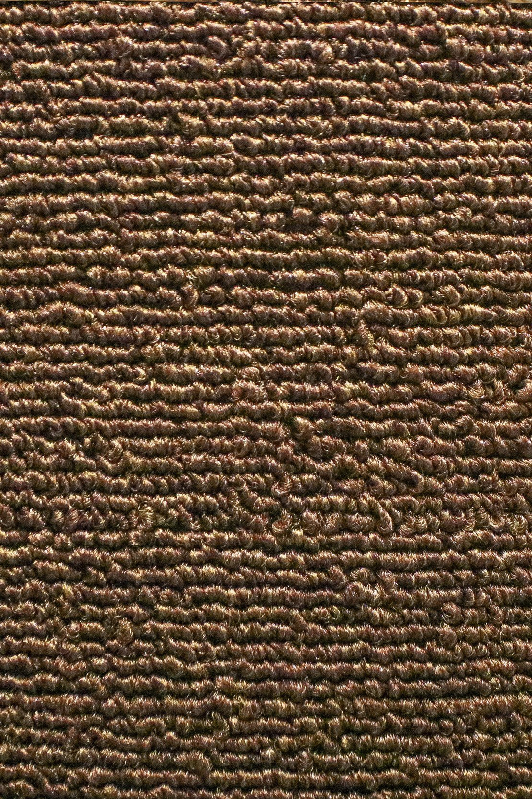 Express - 12-Foot Wide Wall-to-Wall Carpet - V Surfaces