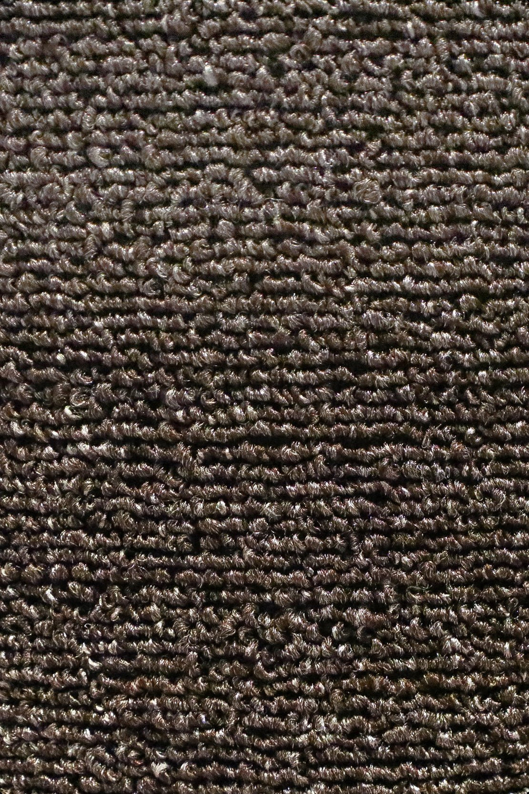 Express - 12-Foot Wide Wall-to-Wall Carpet - V Surfaces
