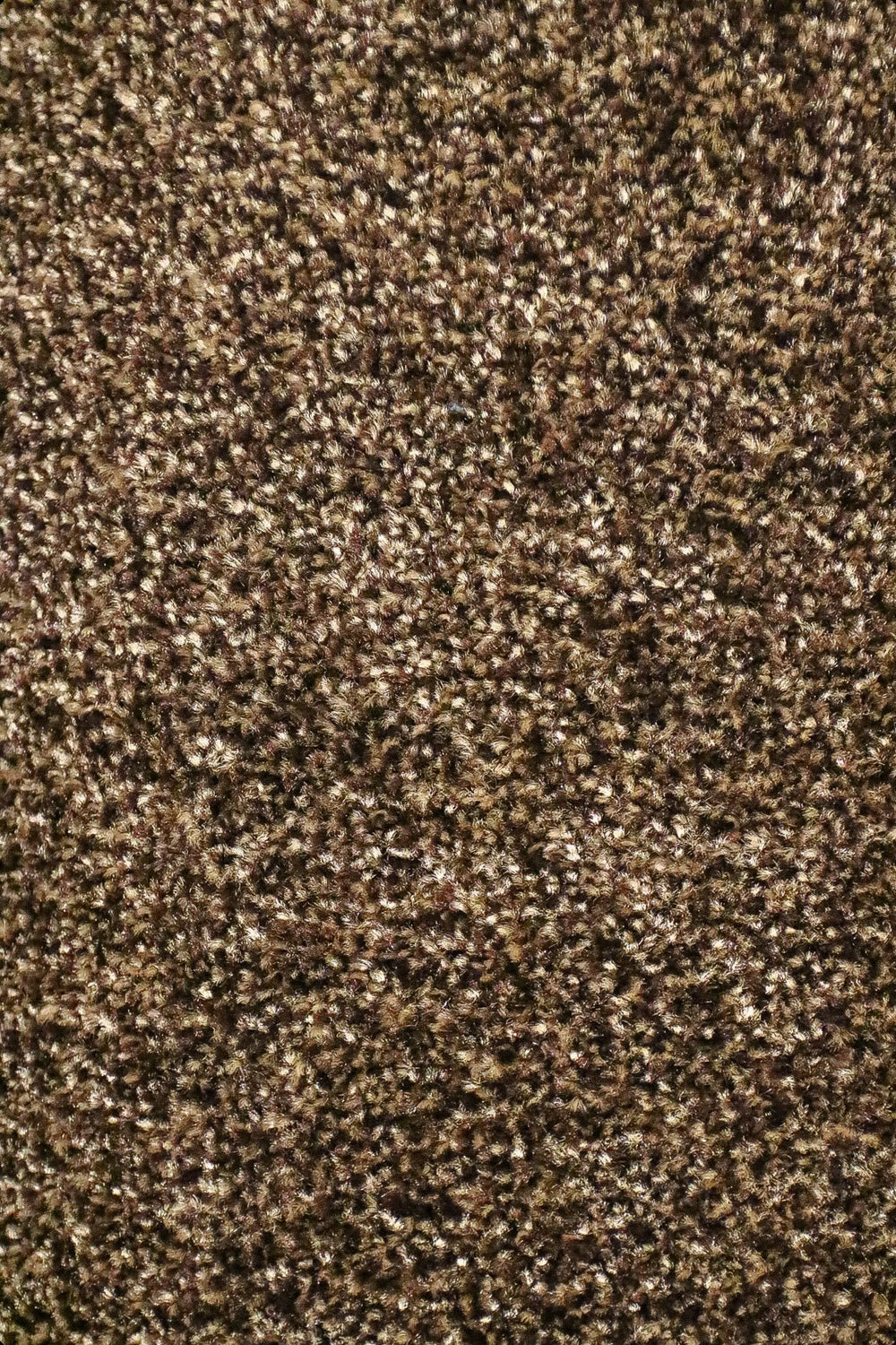 Fragnance - 12-Foot Wide Wall-to-Wall Carpet - V Surfaces