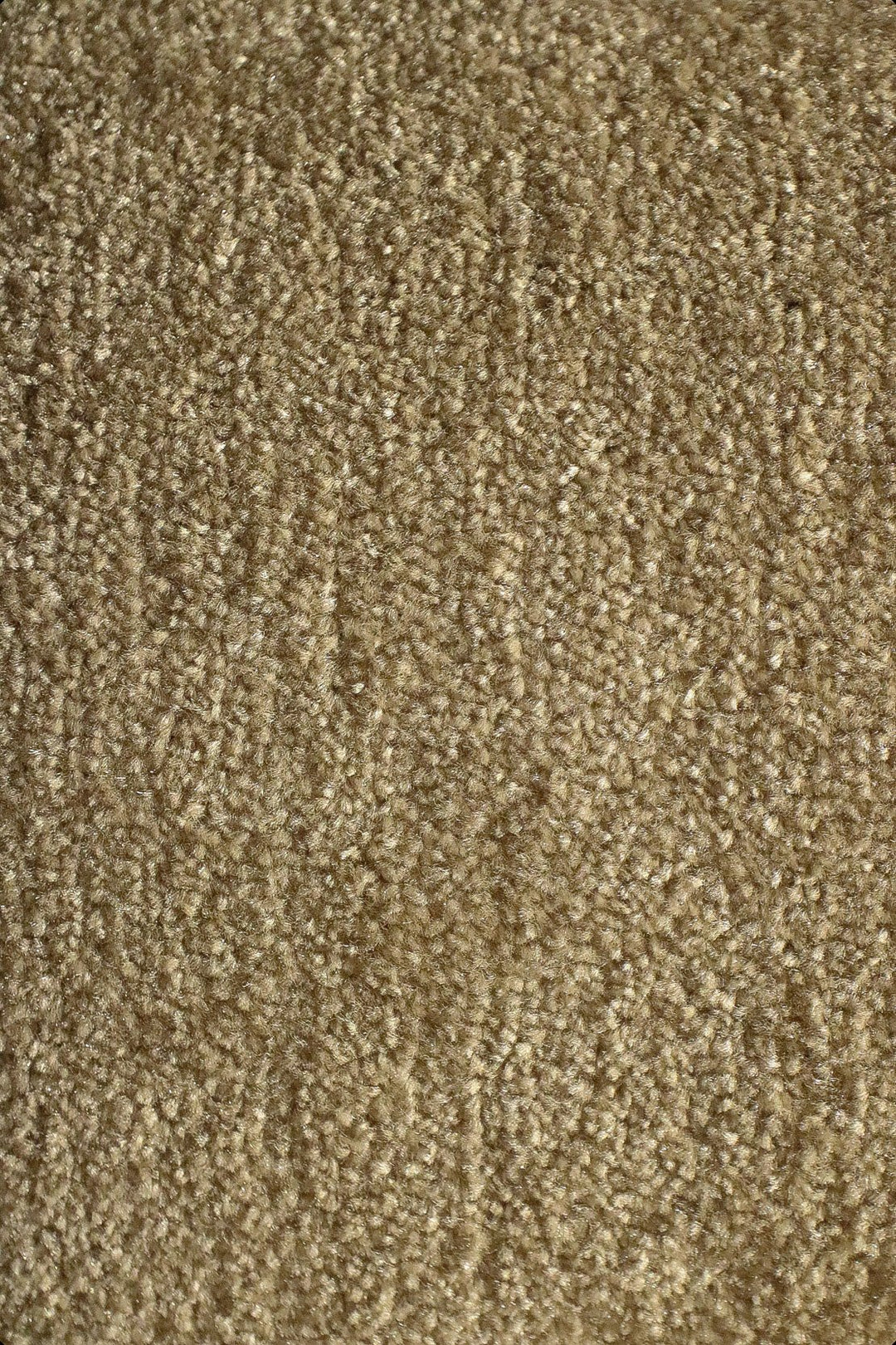 Fragnance - 12-Foot Wide Wall-to-Wall Carpet - V Surfaces