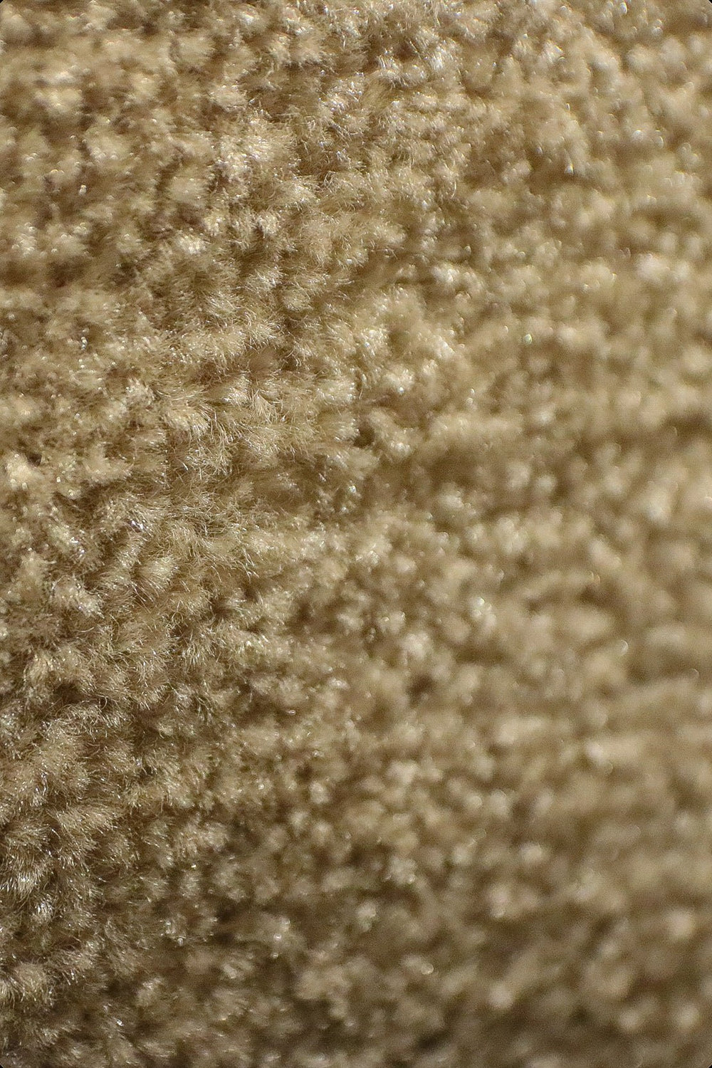 Fragnance - 12-Foot Wide Wall-to-Wall Carpet - V Surfaces