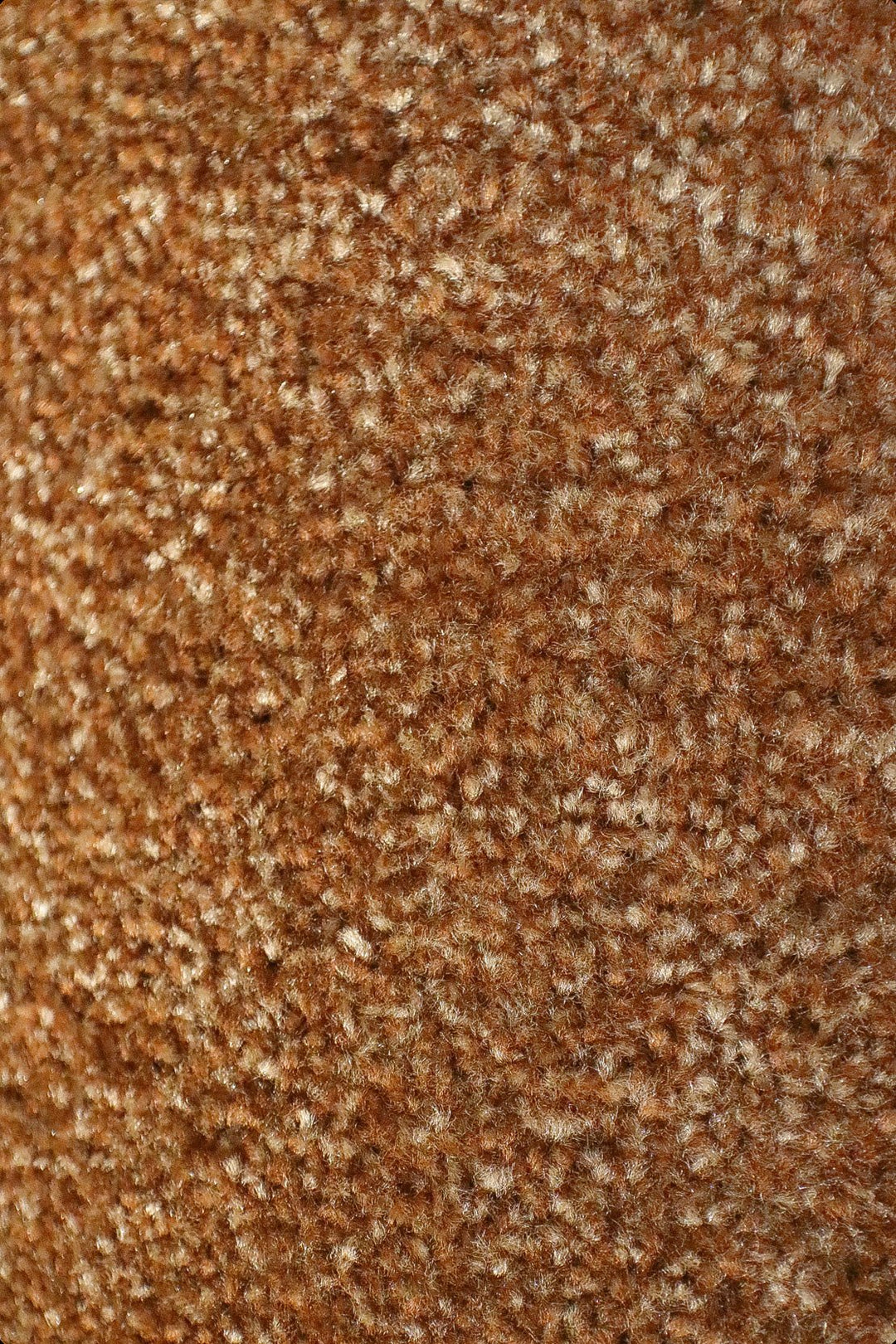 Fragnance - 12-Foot Wide Wall-to-Wall Carpet - V Surfaces