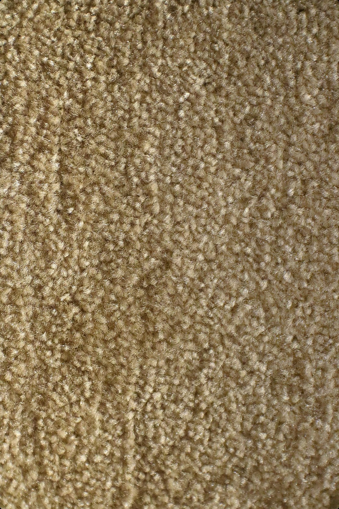 Fragnance - 12-Foot Wide Wall-to-Wall Carpet - V Surfaces