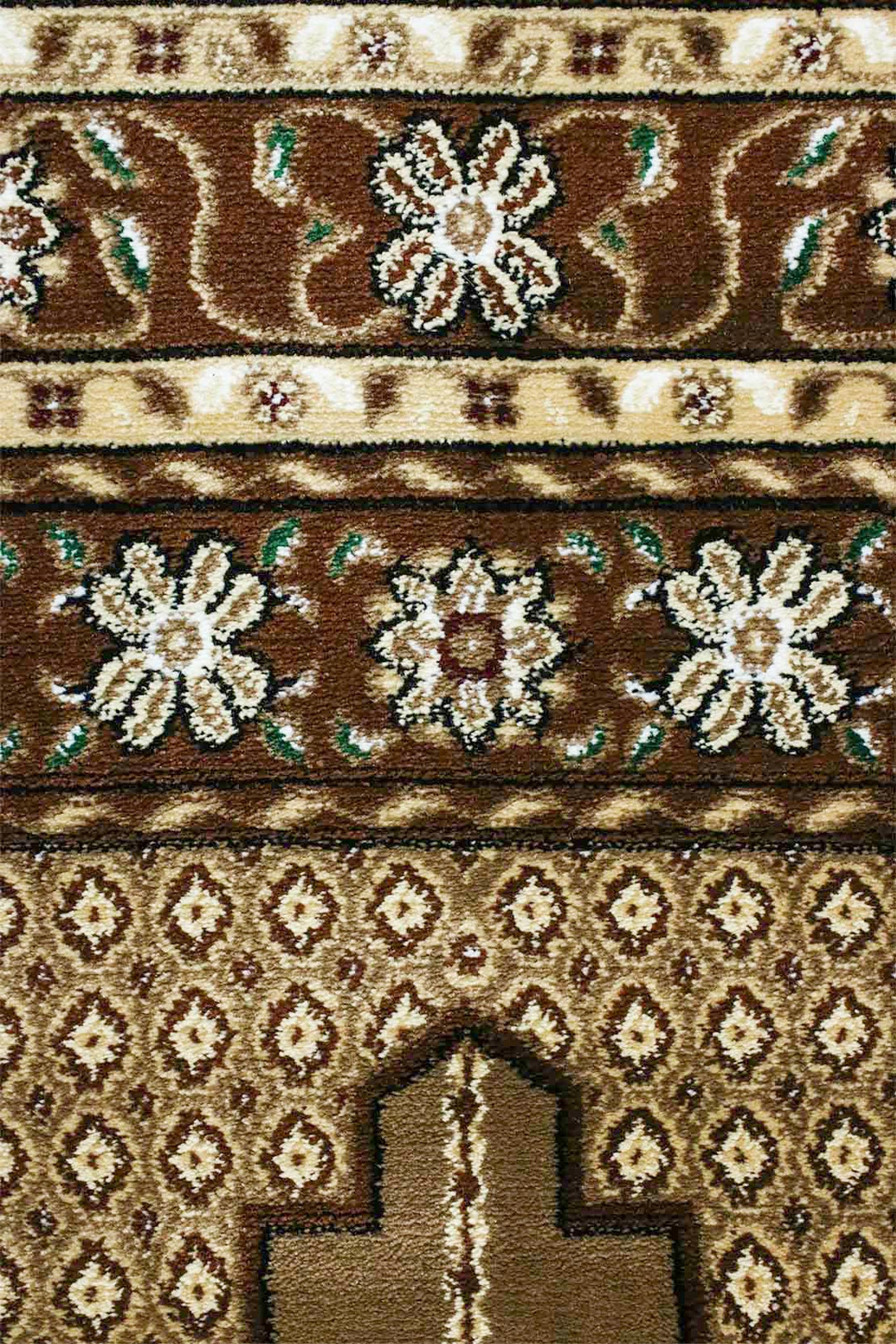 Ishraq Janamaz L. Brown and Brown - V Surfaces