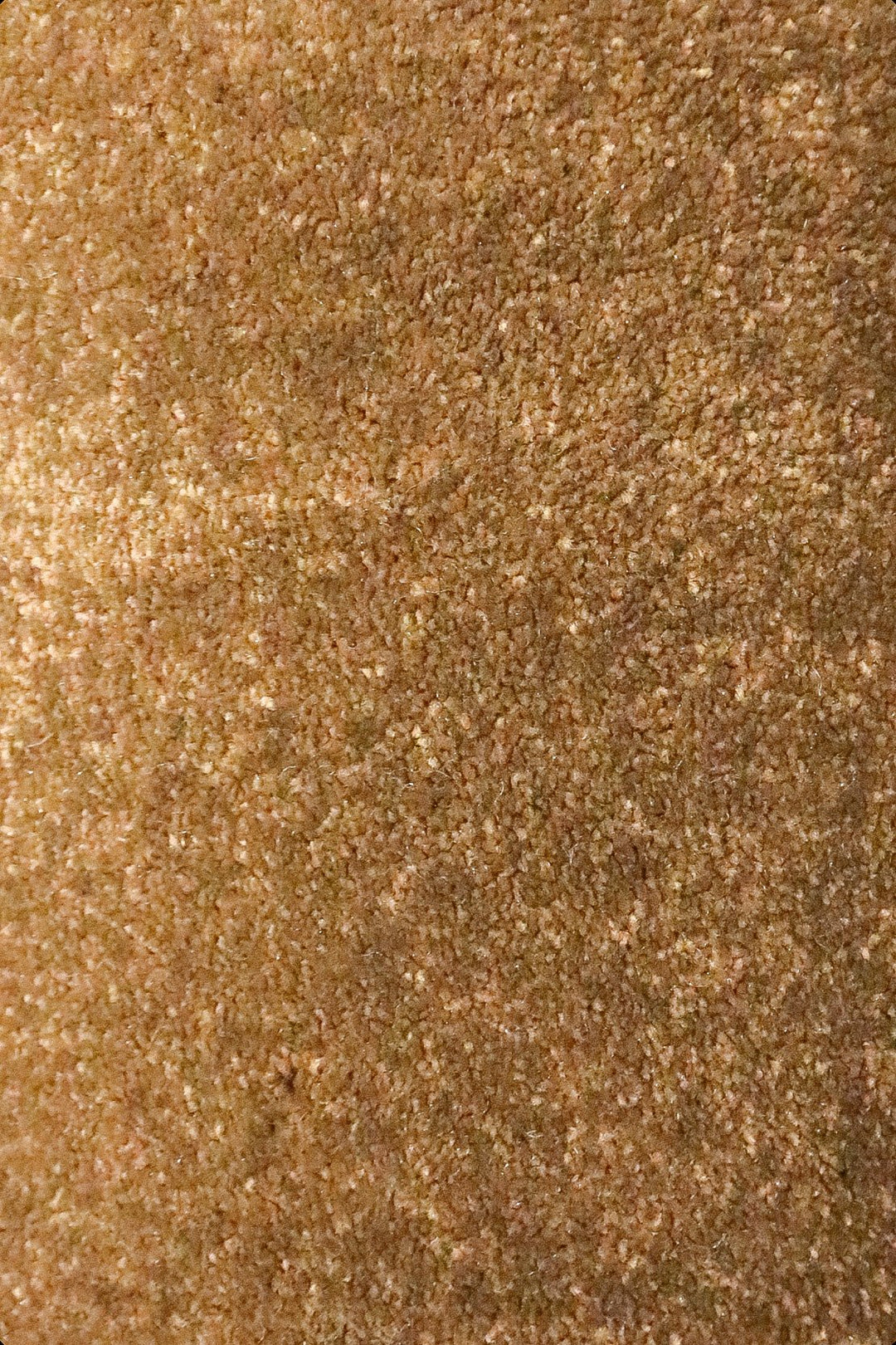 Shigar - 12-Foot Wide Wall-to-Wall Carpet - V Surfaces