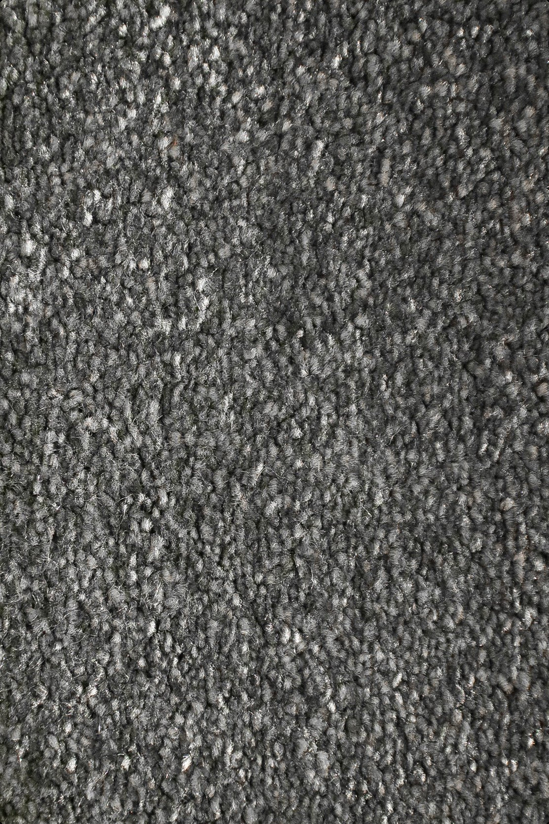 Shigar - 12-Foot Wide Wall-to-Wall Carpet - V Surfaces