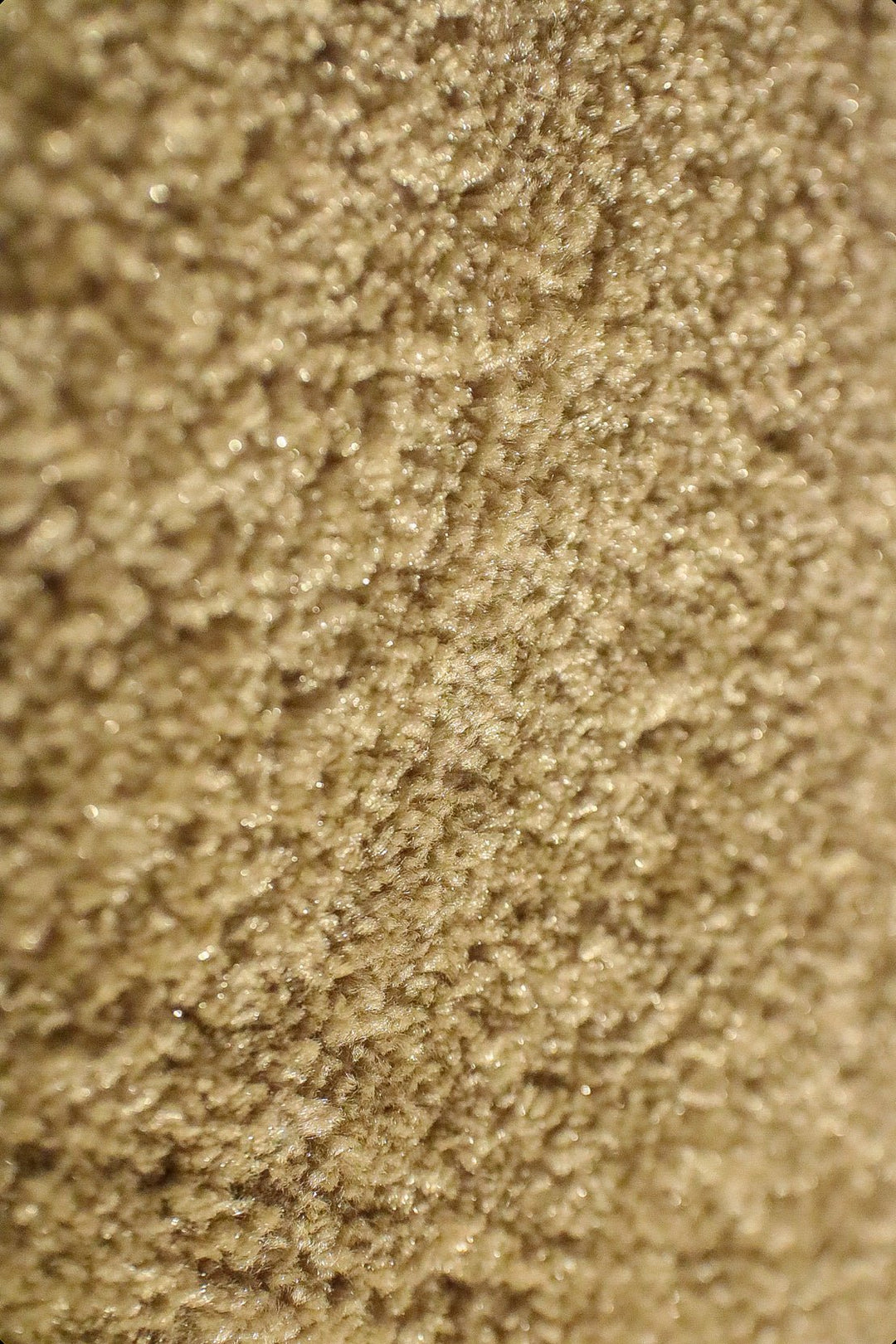 Shigar - 12-Foot Wide Wall-to-Wall Carpet - V Surfaces