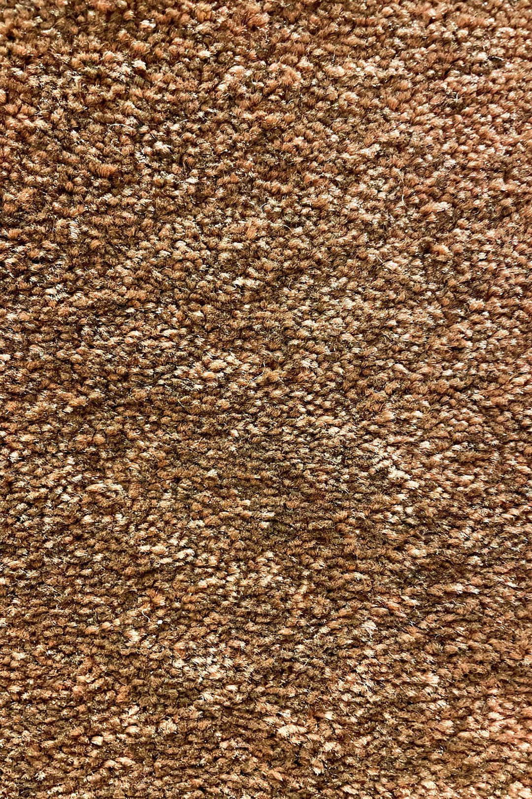 Shigar - 12-Foot Wide Wall-to-Wall Carpet, Brown - V Surfaces