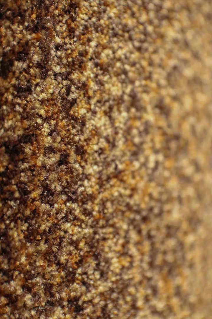 Wall to Wall Carpet Focus 1658 - V Surfaces