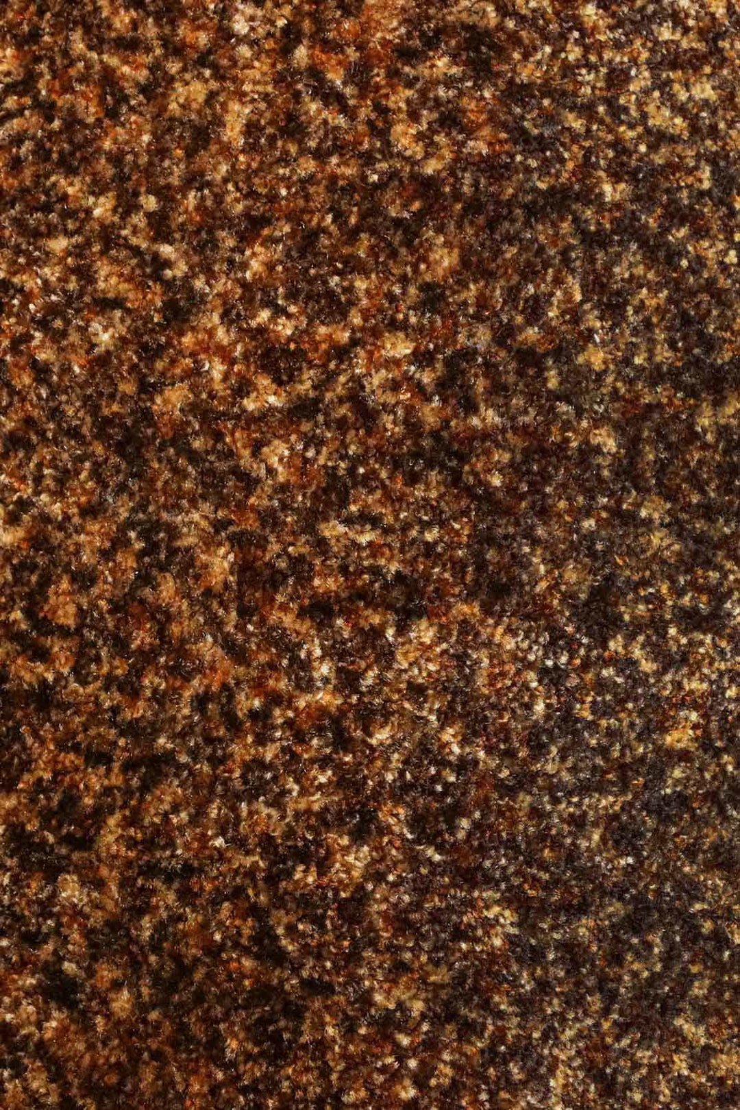 Wall to Wall Carpet Focus 1658 - V Surfaces